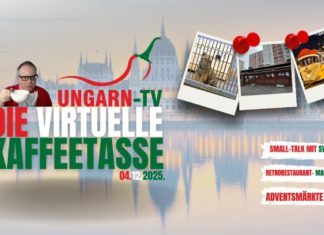 Die Virtuelle Kaffeetasse Ungarns am 04.12.2025