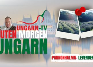 GUTEN MORGEN Ungarn – Live aus Pannonhalma