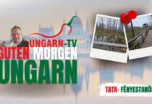 GUTEN MORGEN Ungarn – Live aus den magischen Wäldern vor Tata