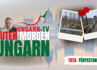 GUTEN MORGEN Ungarn – Live aus den magischen Wäldern vor Tata