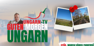 GUTEN MORGEN Ungarn: Ein neuer Park in Györ