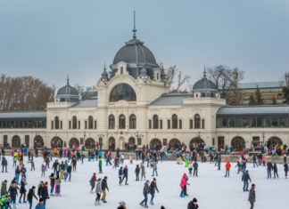Volle Betriebsamkeit auf der Eisbahn im Stadtwäldchen – Start in die neue Saison