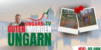 GUTEN MORGEN Ungarn – aus der Natur rund um Héviz