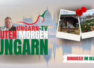 GUTEN MORGEN Ungarn – Live aus Dunakeszi