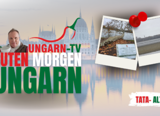 GUTEN MORGEN Ungarn – Live vom Tata See