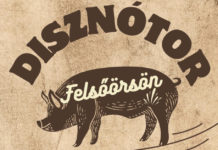 Traditionelles Schweineschlachten bei der Vass Pincészet in Felsőörs