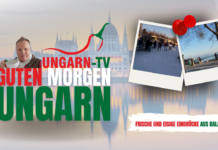 GUTEN MORGEN Ungarn -Mit eisigen Eindrücken aus Balatonfüred