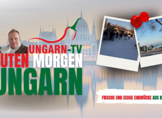 GUTEN MORGEN Ungarn -Mit eisigen Eindrücken aus Balatonfüred