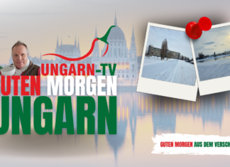 Guten Morgen Ungarn – Spaziergang an der Moson-Duna