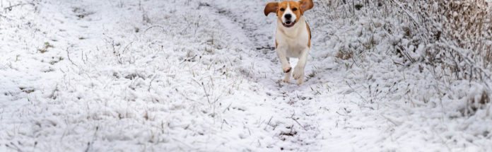 vagas1767597519_nagy