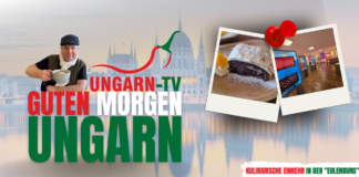 GUTEN MORGEN Ungarn – Kulinarisch aus der „Eulenburg“ in Zirc