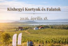 Wie kann Balatonlelle–Kishegy zu einem Modellgebiet des Weintourismus werden?