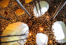 Haus der Ungarischen Musik – Budapests modernes Kulturhighlight