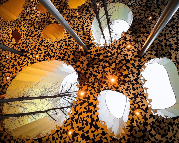 653020989_1476346380813459_5753643735732621851_n