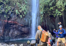 Madeira ist die Insel des ewigen Frühlings!