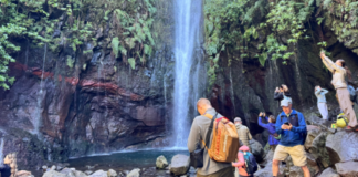 Madeira ist die Insel des ewigen Frühlings!