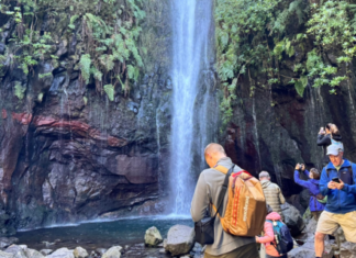 Madeira ist die Insel des ewigen Frühlings!