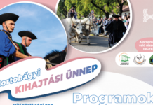 Viehauftrieb in der Hortobágy – lebendige Tradition und einzigartiges Kulturerbe