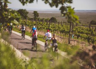 SopronFest: Wo jeder Moment etwas Besonderes ist!