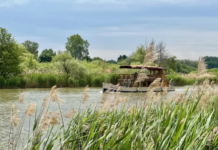Besondere Schiffstour auf der Kleinen Donau: Naturerlebnis vor den Toren Budapests