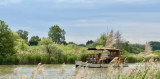 Besondere Schiffstour auf der Kleinen Donau: Naturerlebnis vor den Toren Budapests