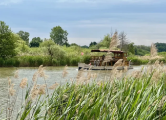 Besondere Schiffstour auf der Kleinen Donau: Naturerlebnis vor den Toren Budapests