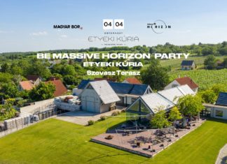 Musik, Festivals und Gemeinschaftserlebnisse am Balaton