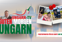 GUTEN MORGEN Ungarn – So funktionieren die Schiffsticket-Automaten am Balaton