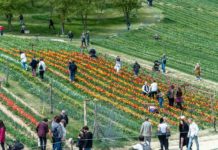 Aktive Erholung und kulturelle Programme rund um den Balaton