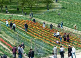 Aktive Erholung und kulturelle Programme rund um den Balaton
