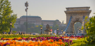 Genuss ohne Kompromisse: Warum Budapest zu Europa’s spannendster Food-Destination wird