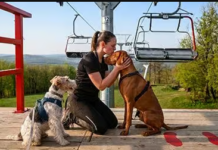 Mit dem Hund auf den Sessellift: Neue Attraktionen machen Síaréna Vibe Park noch familienfreundlicher