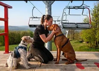 Mit dem Hund auf den Sessellift: Neue Attraktionen machen Síaréna Vibe Park noch familienfreundlicher