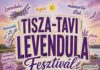Lavendelduft am Tisza-See: Festival in Tiszaderzs am 26. und 27. Juni