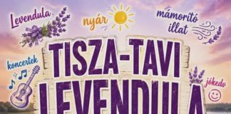 Lavendelduft am Tisza-See: Festival in Tiszaderzs am 26. und 27. Juni