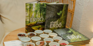 Essbarer Wald in Miskolc: Wenn der Wald zum Gourmet-Erlebnis wird