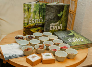 Essbarer Wald in Miskolc: Wenn der Wald zum Gourmet-Erlebnis wird
