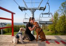 Eplény setzt auf Natur, Bewegung und Vierbeiner – der Síaréna Vibe Park entwickelt sich zum Ganzjahresziel