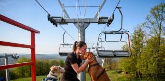 Eplény setzt auf Natur, Bewegung und Vierbeiner – der Síaréna Vibe Park entwickelt sich zum Ganzjahresziel