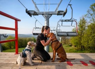 Eplény setzt auf Natur, Bewegung und Vierbeiner – der Síaréna Vibe Park entwickelt sich zum Ganzjahresziel