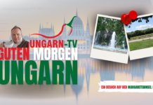Guten Morgen Ungarn – Live von der Margareteninsel in Budapest