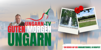Guten Morgen Ungarn – Live von der Margareteninsel in Budapest