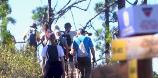 Gran Canaria Walking Festival 2026