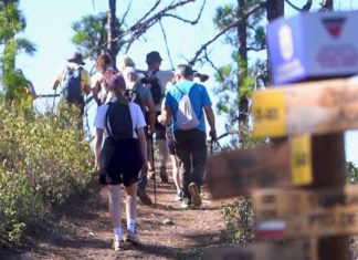 Gran Canaria Walking Festival 2026