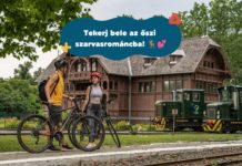 Durch die Wälder der Hirsche – Radtour im Gemenc-Wald