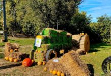 14 zauberhafte Kürbisfeste in Ungarn – Herbstliche Erlebnisse 2026