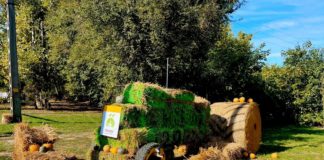 14 zauberhafte Kürbisfeste in Ungarn – Herbstliche Erlebnisse 2026