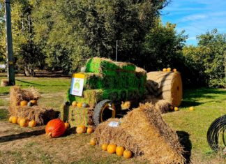 14 zauberhafte Kürbisfeste in Ungarn – Herbstliche Erlebnisse 2026