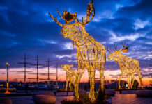 Wenn die Ostsee leuchtet
