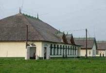 Ungarn erleben im Hotel Silver